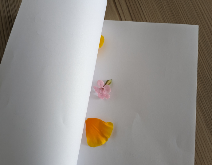 Folding flowers between sheets of paper